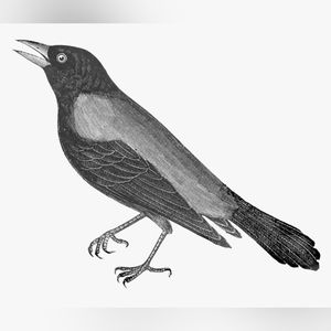 Meet your Posher - Todd